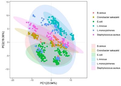 Pseudotargeted Metabolomic Fingerprinting and Deep Learning for Identification and Visualization of Common Pathogens